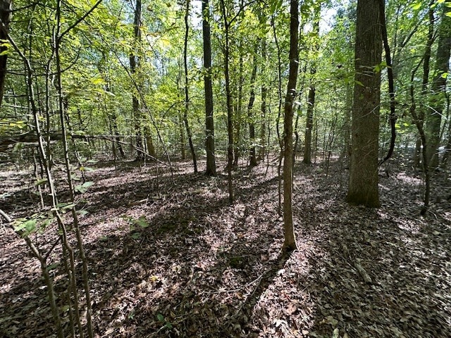 0 Sales Landing Rd, Camden, TN 38320