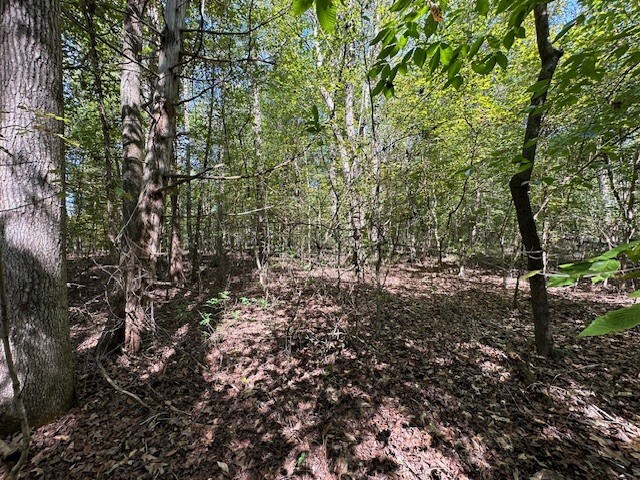 0 Sales Landing Rd, Camden, TN 38320