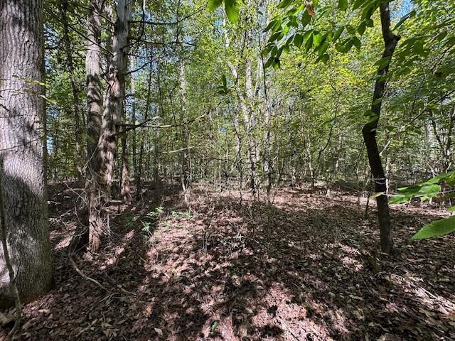 0 Sales Landing Rd, Camden, TN 38320 - photo 14