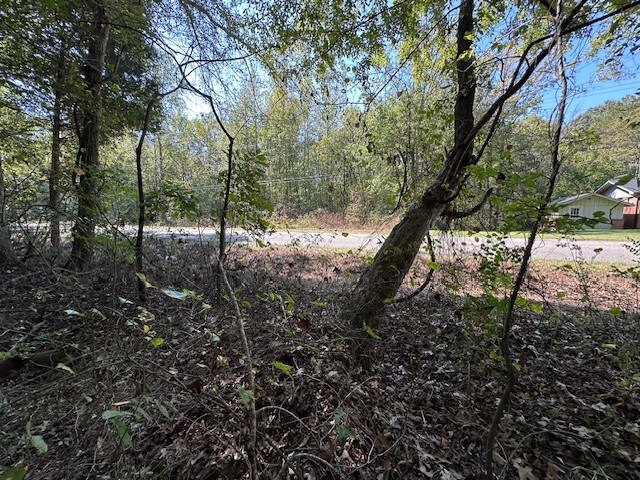 0 Sales Landing Rd, Camden, TN 38320