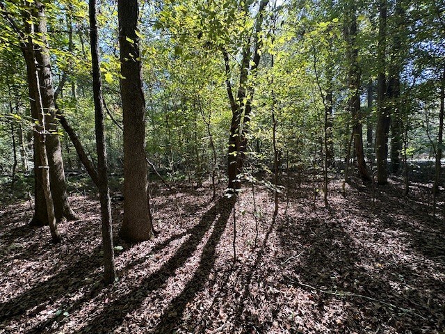 0 Sales Landing Rd, Camden, TN 38320