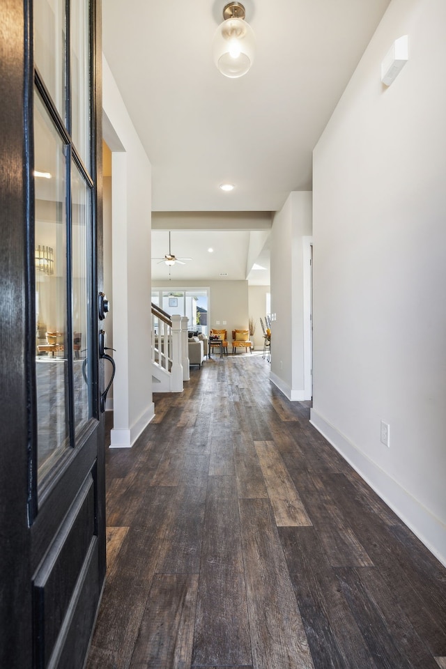 foyer with ceiling fan and wood-type flooring