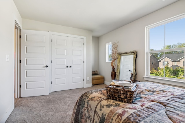 bedroom featuring a closet, multiple windows, and carpet floors