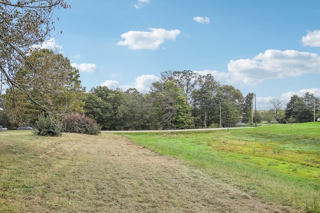 view of yard with a rural view