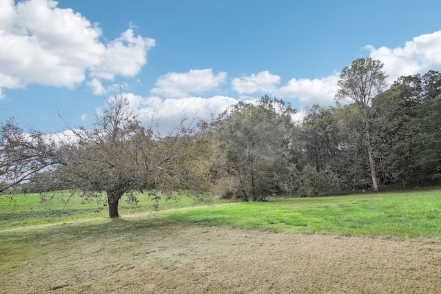 view of nature with a rural view