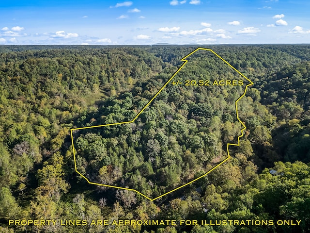 1809 Norton Branch Rd, Beechgrove TN, 37018 land for sale