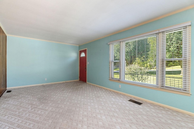 111 Parkview Dr, Mcminnville, TN 37110 - unfurnished living room featuring visible vents, baseboards, ornamental molding, and carpet