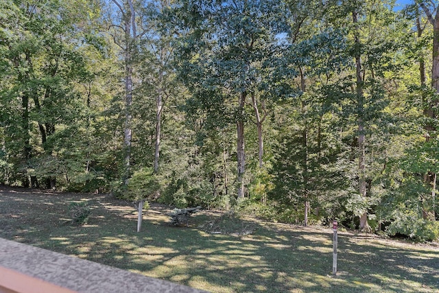 111 Parkview Dr, Mcminnville, TN 37110 - view of yard featuring a forest view