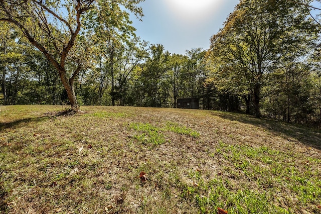 view of yard with a forest view