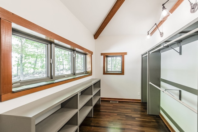 spacious closet featuring vaulted ceiling with beams and dark hardwood / wood-style flooring