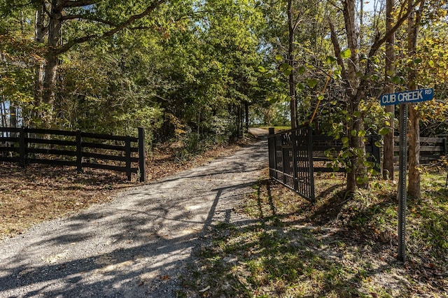 view of road featuring a gate, a gated entry, and driveway