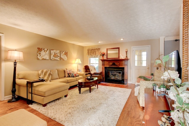 living room featuring hardwood / wood-style floors and a textured ceiling