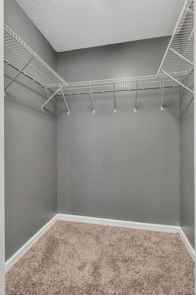 spacious closet with carpet floors