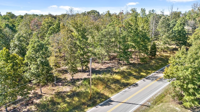 0 Hayes Ridge Rd, Indian Mound TN, 37079 land for sale