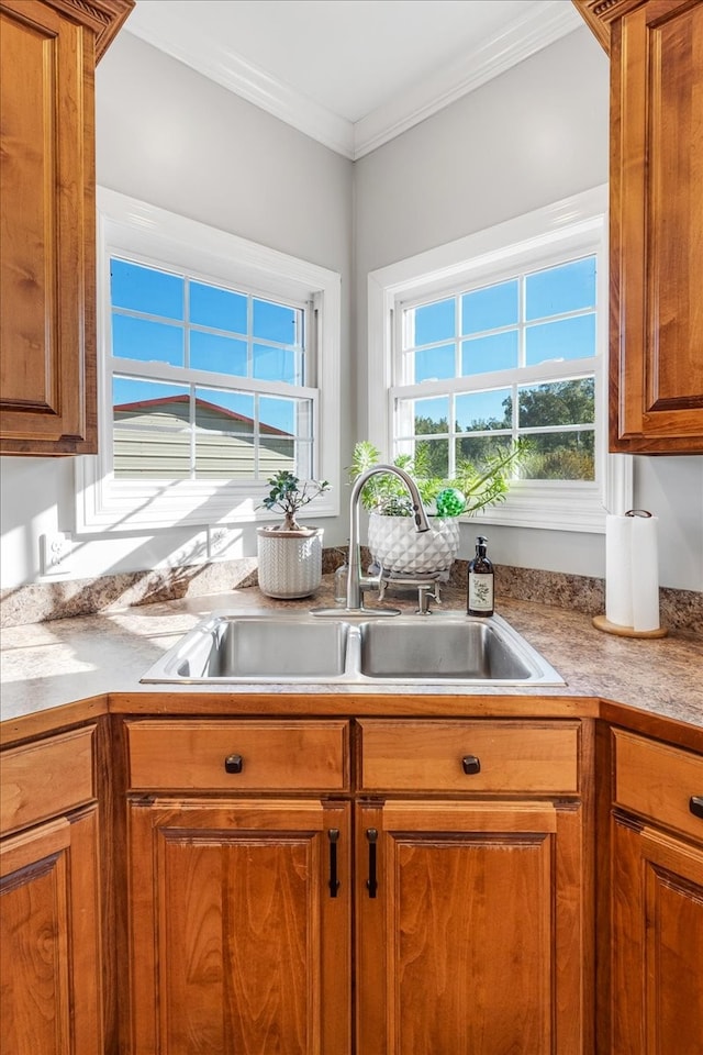 kitchen with crown molding and sink