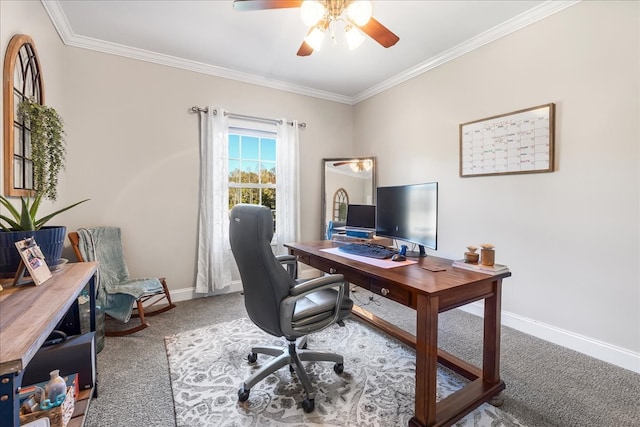 home office featuring ceiling fan, crown molding, and carpet flooring