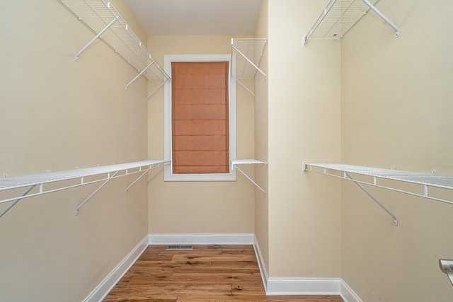 spacious closet featuring wood-type flooring