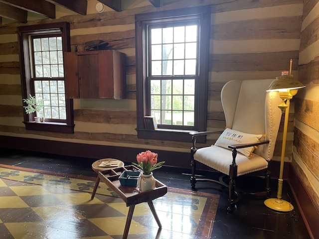 living area with wood walls and a wealth of natural light