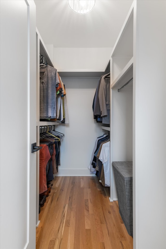 spacious closet featuring light hardwood / wood-style flooring