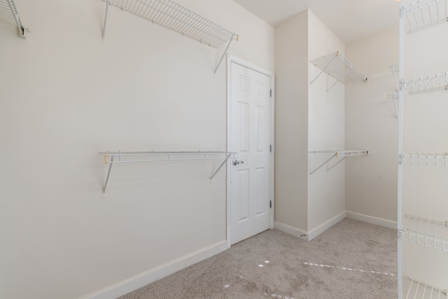 spacious closet with light colored carpet