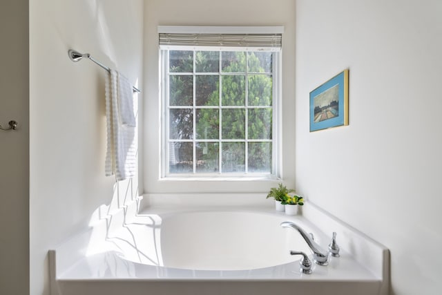 bathroom featuring a bathtub