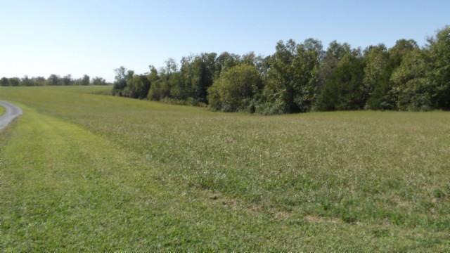 1 Allen Bend Rd, Smithville, TN 37166 - photo 6