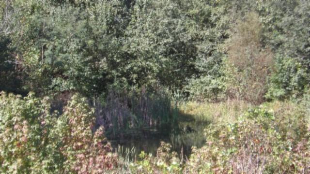 1 Allen Bend Rd, Smithville, TN 37166 - photo 30