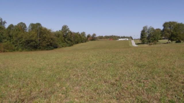 1 Allen Bend Rd, Smithville, TN 37166 - photo 8