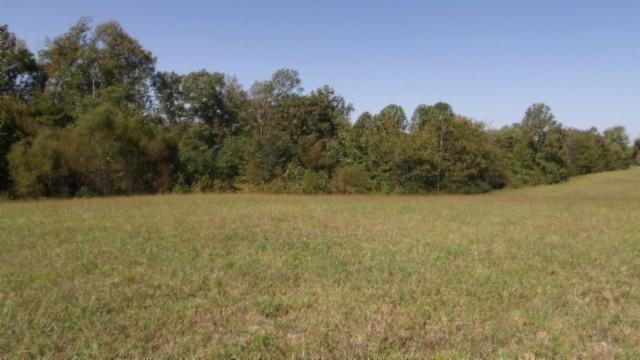 1 Allen Bend Rd, Smithville, TN 37166 - photo 10