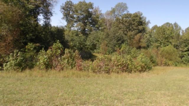 1 Allen Bend Rd, Smithville, TN 37166 - photo 12