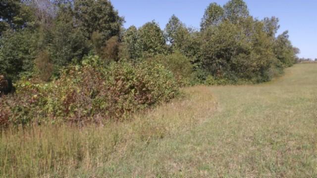 1 Allen Bend Rd, Smithville, TN 37166 - photo 13