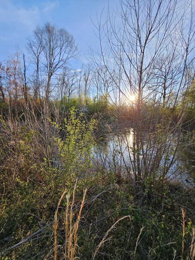 1 Allen Bend Rd, Smithville, TN 37166 - photo 31