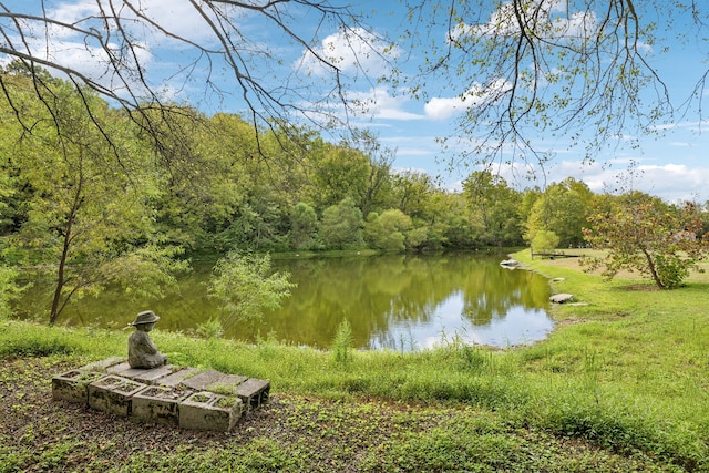 property view of water