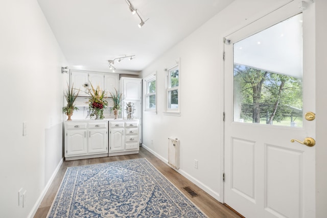 doorway to outside with light hardwood / wood-style floors, track lighting, and a healthy amount of sunlight