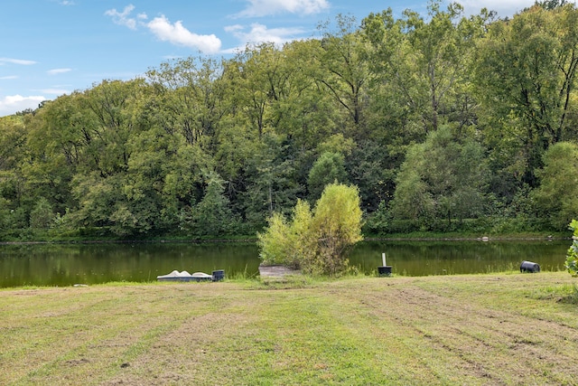 view of yard with a water view