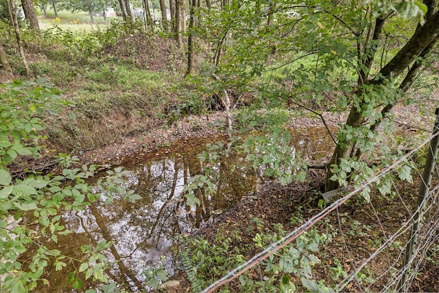 view of landscape featuring a water view