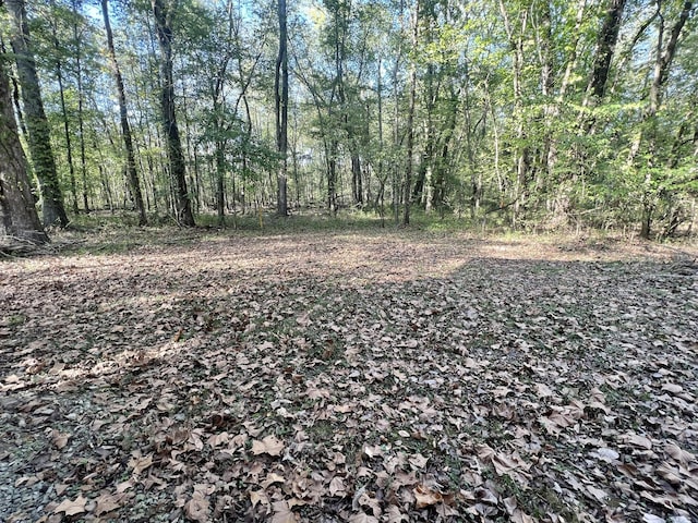 1518 Matlock Dr, Chapmansboro, TN 37035 - view of woods