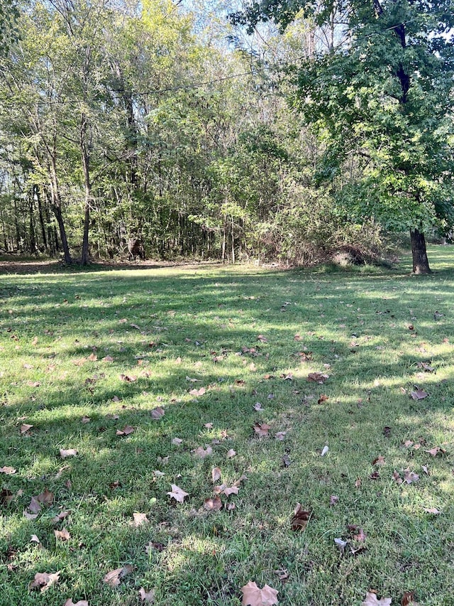 1518 Matlock Dr, Chapmansboro, TN 37035 - view of grassy yard featuring a wooded view