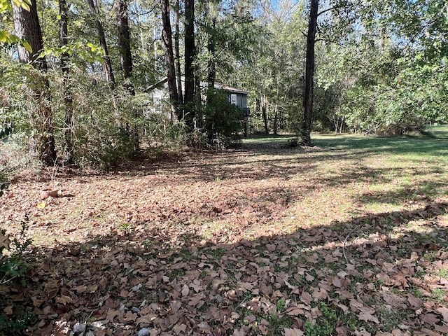 1518 Matlock Dr, Chapmansboro, TN 37035 - view of yard