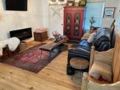 living room featuring hardwood / wood-style floors