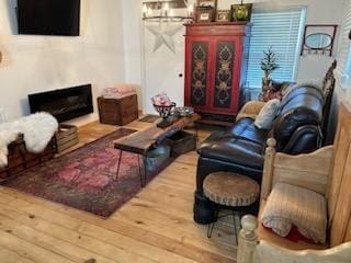 living room with hardwood / wood-style floors