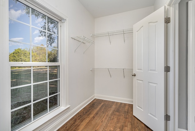 spacious closet with dark hardwood / wood-style flooring