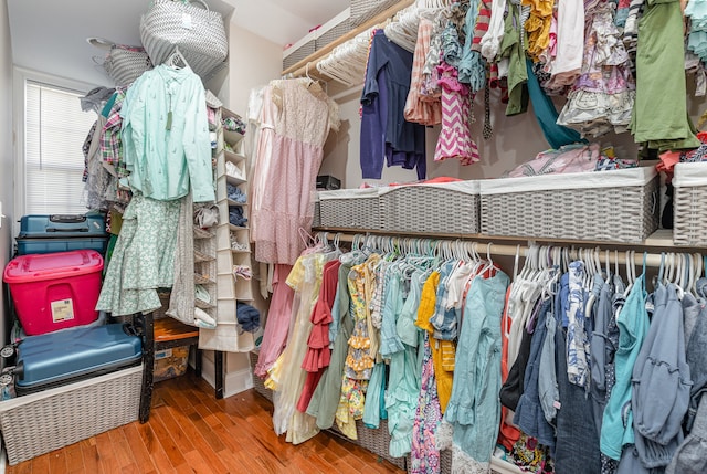 spacious closet with hardwood / wood-style floors