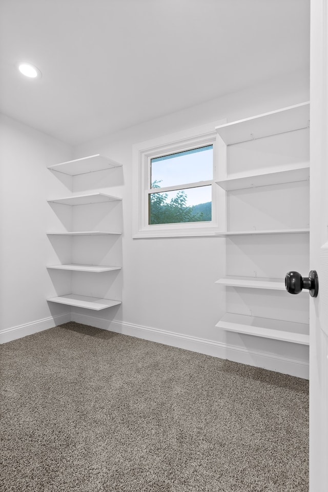 walk in closet with carpet floors