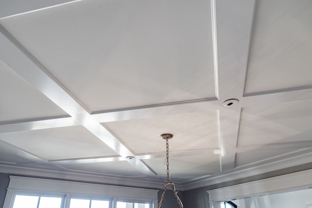 details with coffered ceiling and beam ceiling