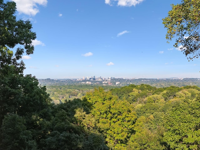 109 Jocelyn Hills Dr, Nashville, TN 37205 - view of landscape featuring a forest view