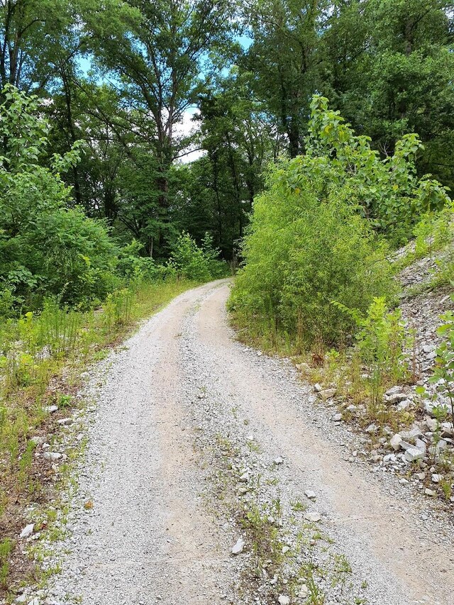 0 Sherwood Rd, Sherwood, TN 37376 - photo 12