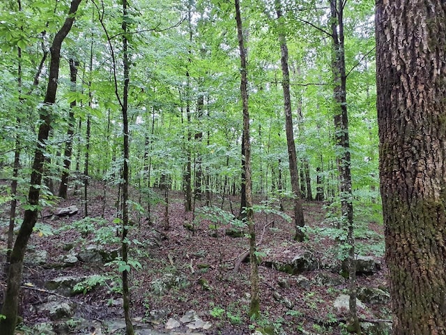 0 Sherwood Rd, Sherwood, TN 37376 - photo 1