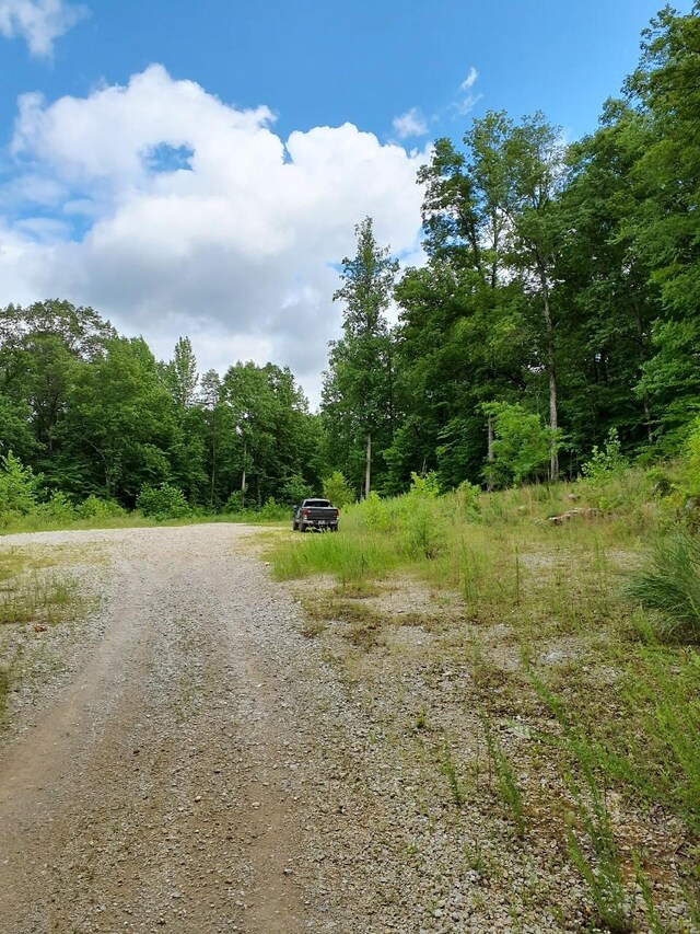 0 Sherwood Rd, Sherwood, TN 37376 - photo 4