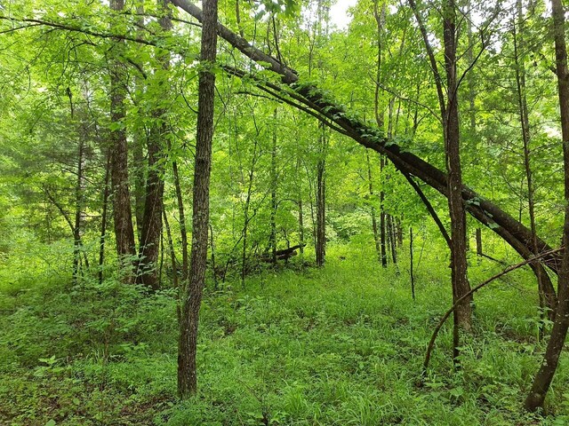 0 Sherwood Rd, Sherwood, TN 37376 - photo 8